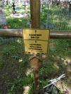 Захоронение ID 191034