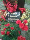 Захоронение ID 195525
