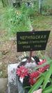 Захоронение ID 198838