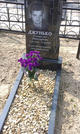 Захоронение ID 202537