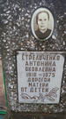 Захоронение ID 202630