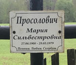 Захоронение ID 202739