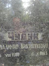 Захоронение ID 204180