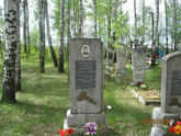 Захоронение ID 217142