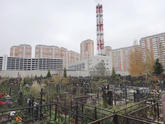 Передельцевское 