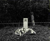 Братская могила  г. Питкяранта 10-230