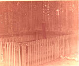 Братская могила д. Веркалампи 10-255