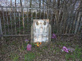 Захоронение ID 286940