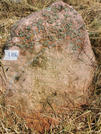 Захоронение ID 620509