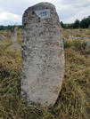 Захоронение ID 620563