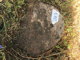 Захоронение ID 620550