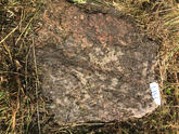 Захоронение ID 620544