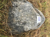 Захоронение ID 620486