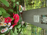 Захоронение ID 610744