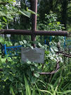 Захоронение ID 610803