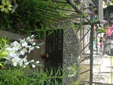 Захоронение ID 610905
