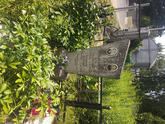 Захоронение ID 610909