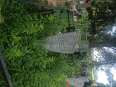 Захоронение ID 610952