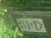 Захоронение ID 610959