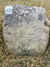 Захоронение ID 620691