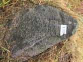 Захоронение ID 620608