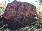 Захоронение ID 620616
