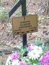 Захоронение ID 1116929