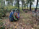 Захоронение ID 1250646