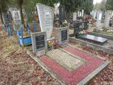Захоронение ID 1253341