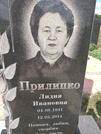Захоронение ID 1254256