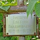 Захоронение ID 1267700