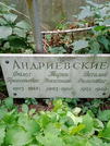 Захоронение ID 1273202
