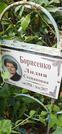 Захоронение ID 1277118