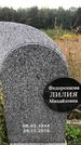 Захоронение ID 1279185