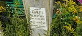 Захоронение ID 1303834