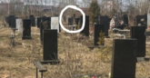Захоронение ID 1311862