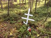 Захоронение ID 1312179