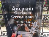 Захоронение ID 1313524