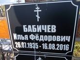 Захоронение ID 1313289