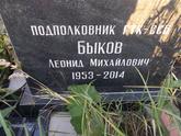 Захоронение ID 1313022