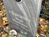 Захоронение ID 1313926