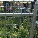 Захоронение ID 1313794