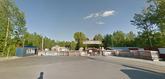 Березовая роща