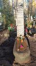 Захоронение ID 1347300