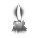 Захоронение ID 1355018