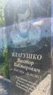 Захоронение ID 3118623
