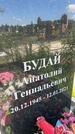 Захоронение ID 3562971