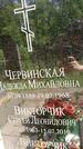 Захоронение ID 3563577