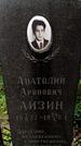 Захоронение ID 3565973