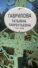 Захоронение ID 3573052